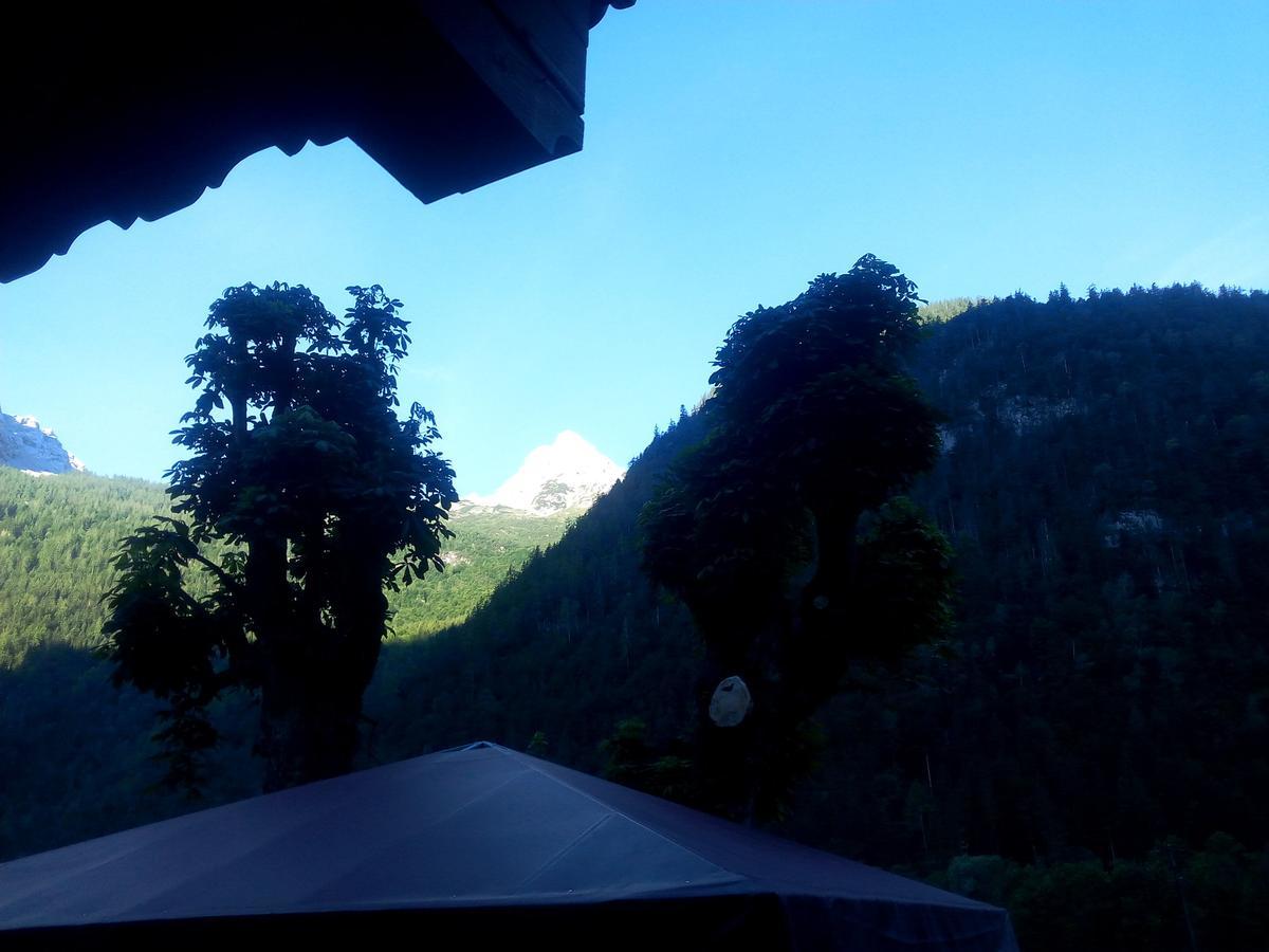 Gasthof-Pension Frohnwies ヴァイスバッハ・バイ・ローファー エクステリア 写真